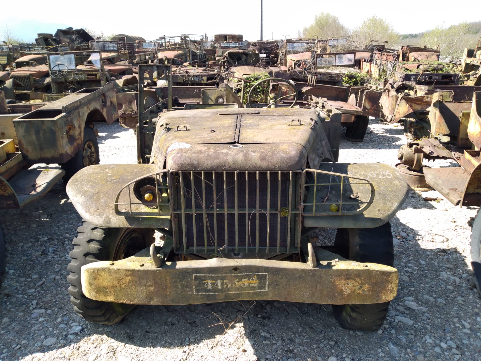 DODGE WC 51